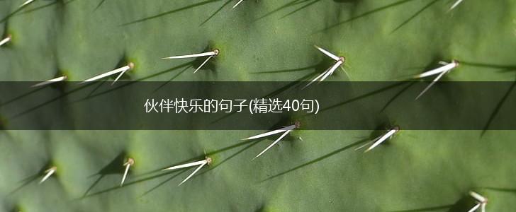 伙伴快乐的句子(精选40句),第1张
