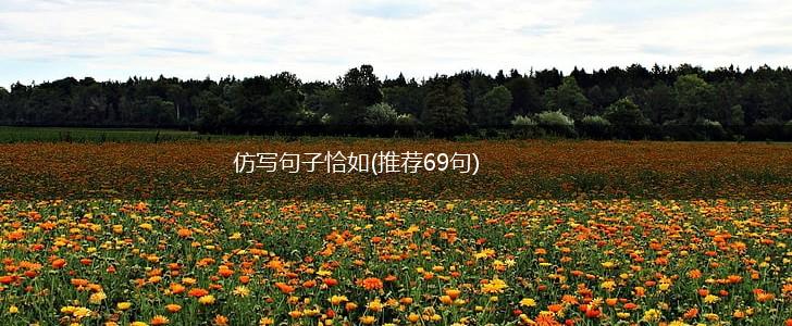 仿写句子恰如(推荐69句),第1张