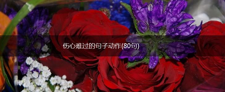 伤心难过的句子动作(80句),第1张