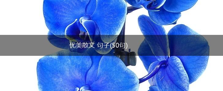 优美散文 句子(50句),第1张