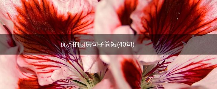 优秀的厨房句子简短(40句),第1张