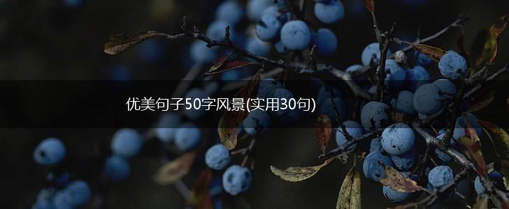 优美句子50字风景(实用30句),第1张