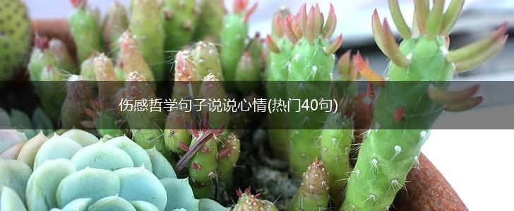 伤感哲学句子说说心情(热门40句),第1张
