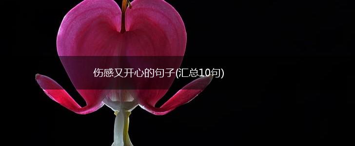 伤感又开心的句子(汇总10句),第1张