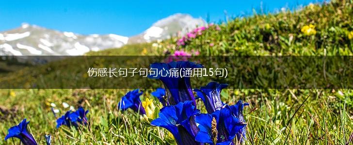 伤感长句子句句心痛(通用15句),第1张