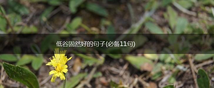 低谷固然好的句子(必备11句),第1张