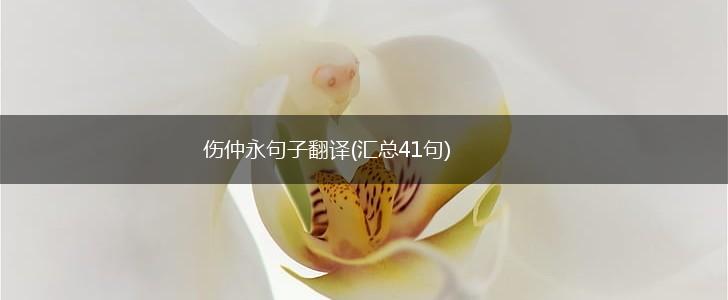 伤仲永句子翻译(汇总41句),第1张