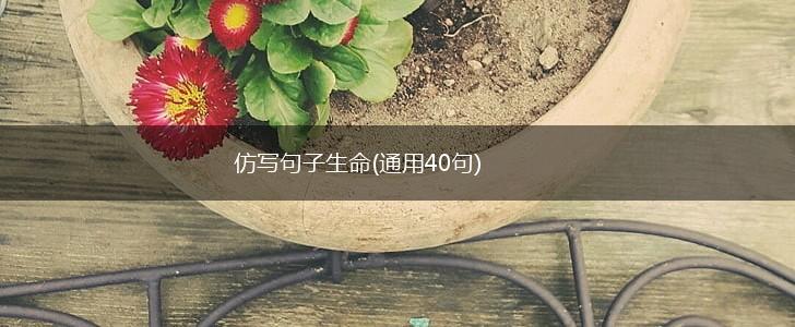 仿写句子生命(通用40句),第1张