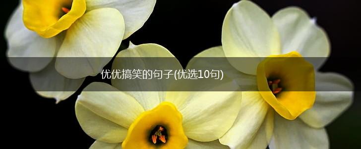 优优搞笑的句子(优选10句),第1张