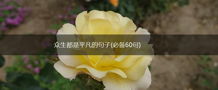 众生都是平凡的句子(必备60句),第1张
