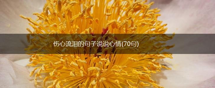伤心流泪的句子说说心情(70句),第1张