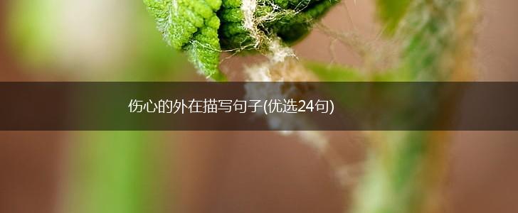 伤心的外在描写句子(优选24句),第1张