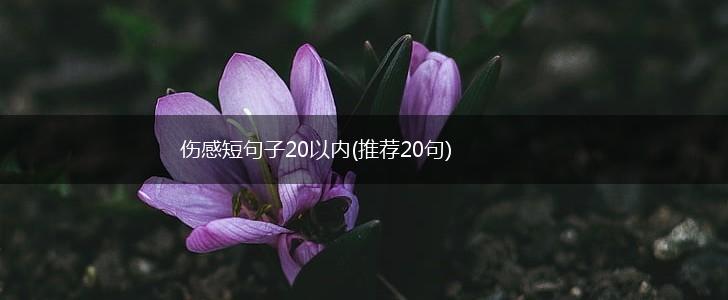 伤感短句子20以内(推荐20句),第1张