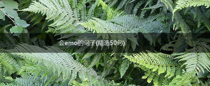会emo的句子(精选50句),第1张