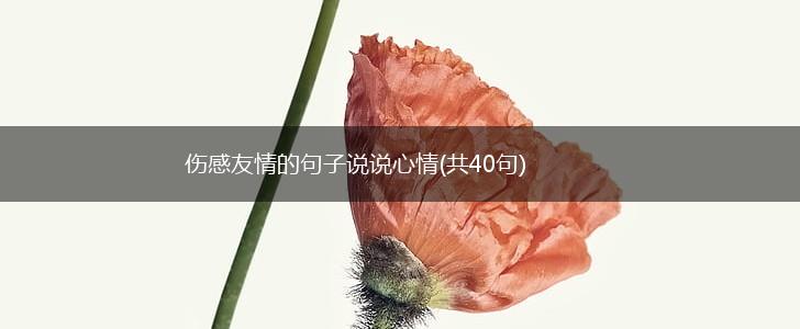 伤感友情的句子说说心情(共40句),第1张