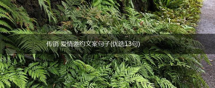 传销 爱情邀约文案句子(优选13句),第1张