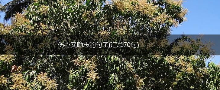 伤心又励志的句子(汇总70句),第1张