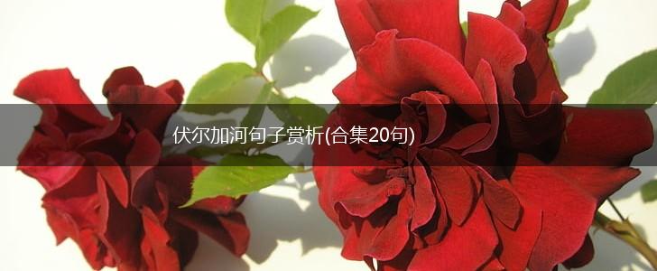 伏尔加河句子赏析(合集20句),第1张