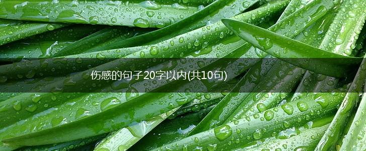 伤感的句子20字以内(共10句),第1张