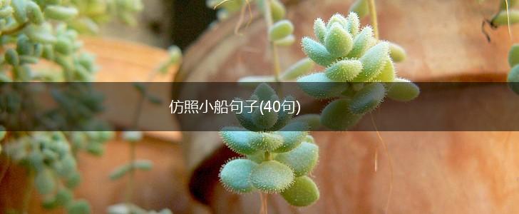 仿照小船句子(40句),第1张