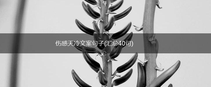 伤感天冷文案句子(汇总40句),第1张