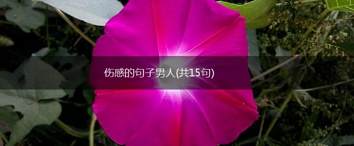 伤感的句子男人(共15句),第1张