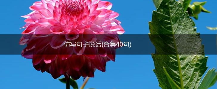 仿写句子说话(合集40句),第1张