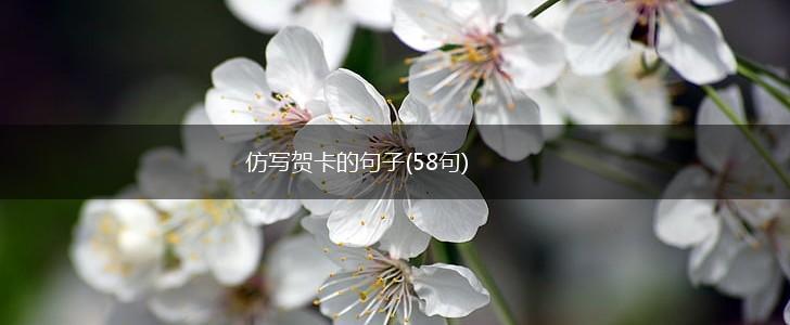 仿写贺卡的句子(58句),第1张