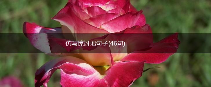 仿写惊讶地句子(46句),第1张