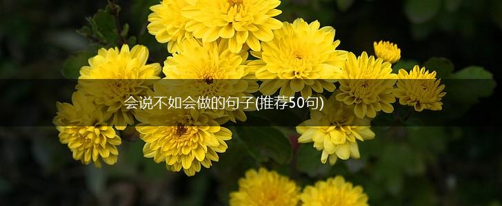 会说不如会做的句子(推荐50句),第1张