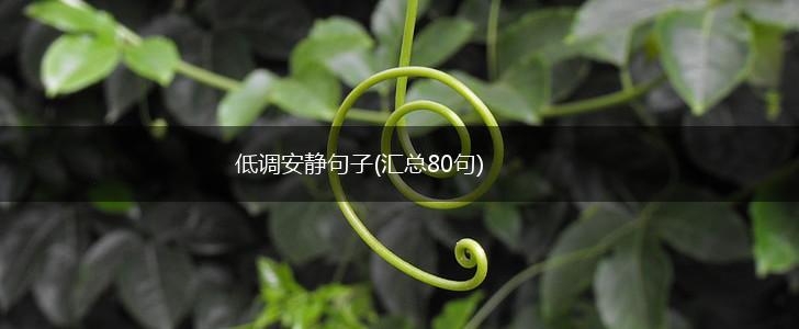 低调安静句子(汇总80句),第1张