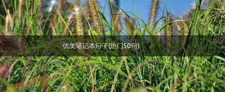 优美笔记本句子(热门50句),第1张