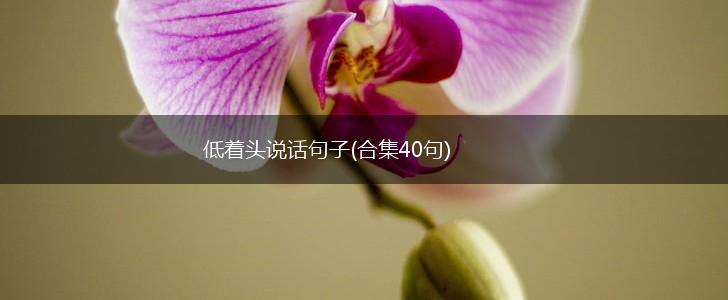 低着头说话句子(合集40句),第1张