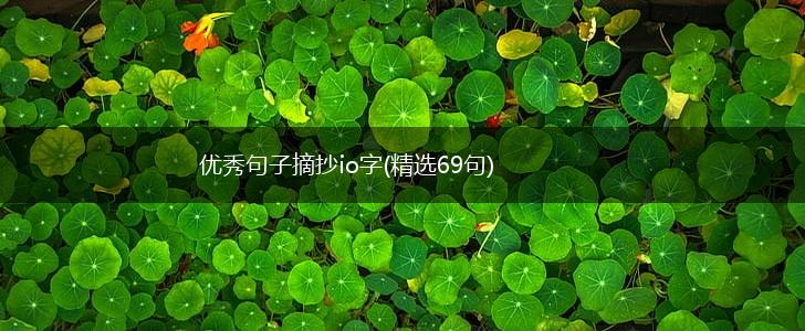 优秀句子摘抄io字(精选69句),第1张