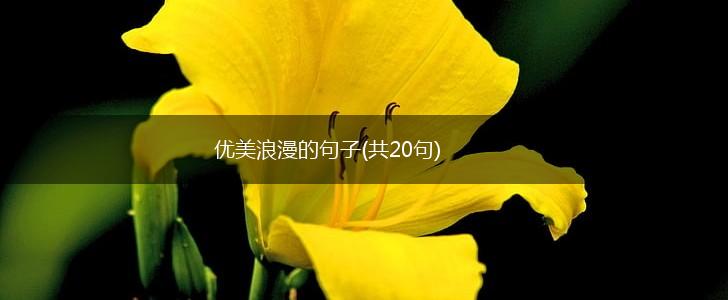 优美浪漫的句子(共20句),第1张