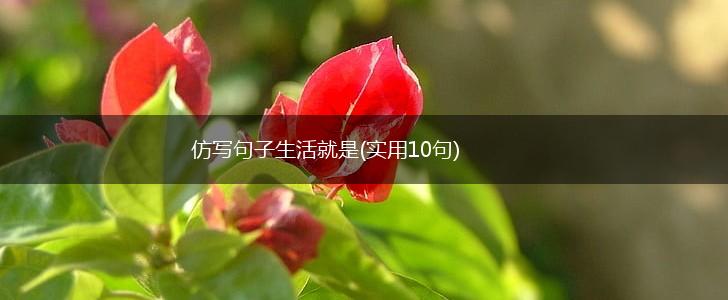 仿写句子生活就是(实用10句),第1张