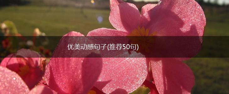 优美动感句子(推荐50句),第1张
