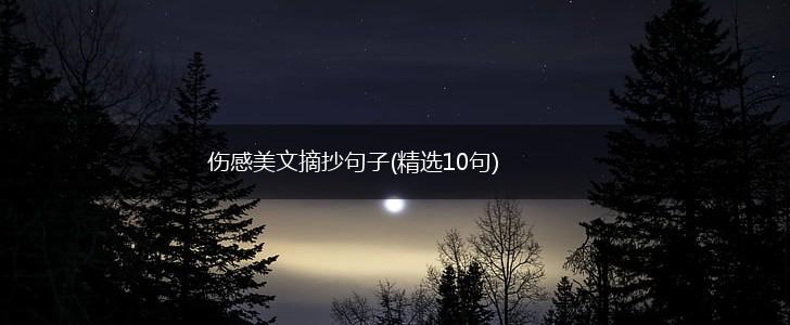 伤感美文摘抄句子(精选10句),第1张