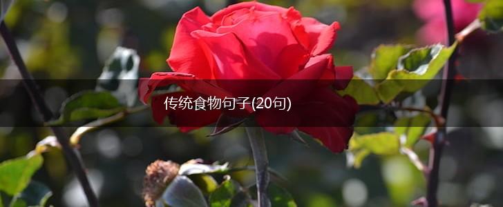 传统食物句子(20句),第1张