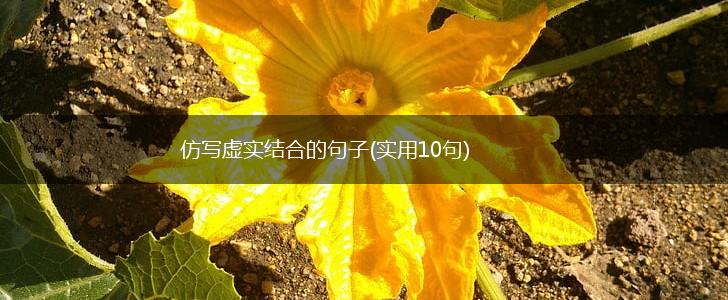 仿写虚实结合的句子(实用10句),第1张