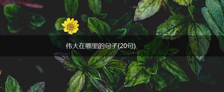 伟大在哪里的句子(20句),第1张