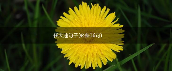 任大迪句子(必备16句),第1张