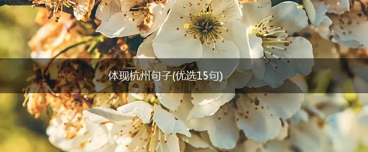 体现杭州句子(优选15句),第1张