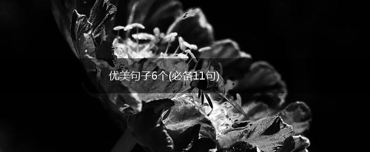 优美句子6个(必备11句),第1张
