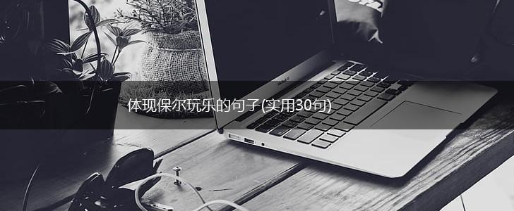 体现保尔玩乐的句子(实用30句),第1张