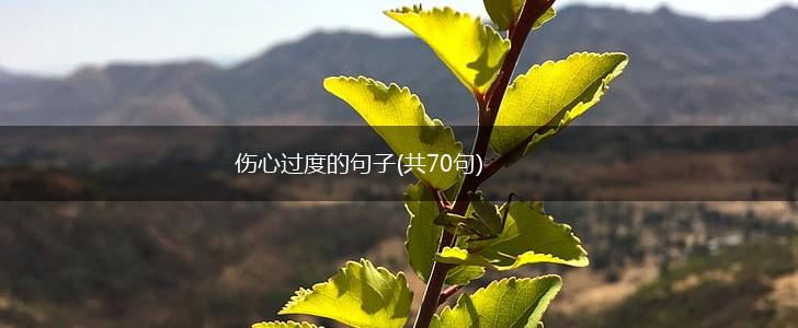 伤心过度的句子(共70句),第1张