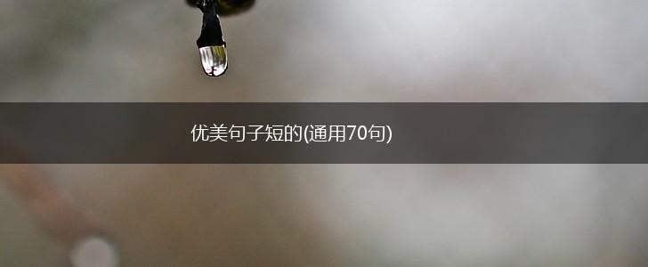 优美句子短的(通用70句),第1张