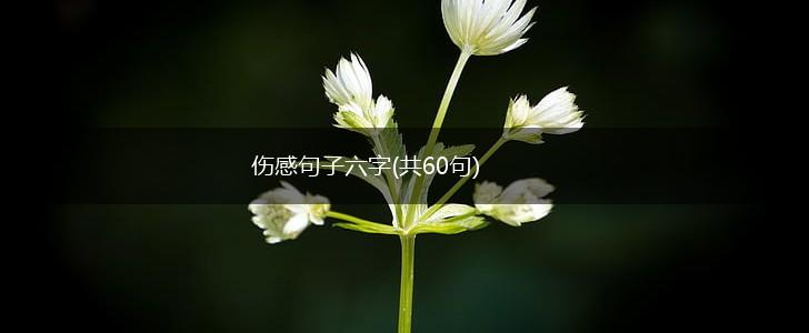 伤感句子六字(共60句),第1张