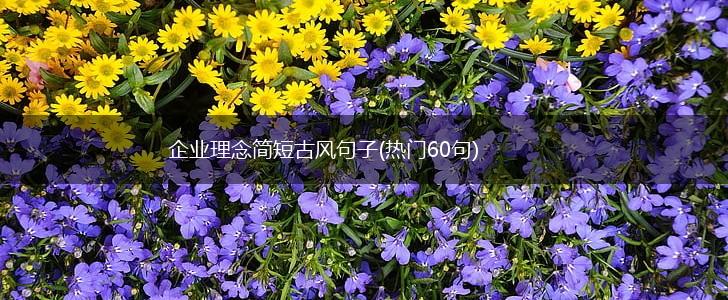企业理念简短古风句子(热门60句),第1张