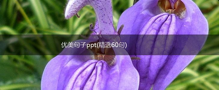 优美句子ppt(精选60句),第1张